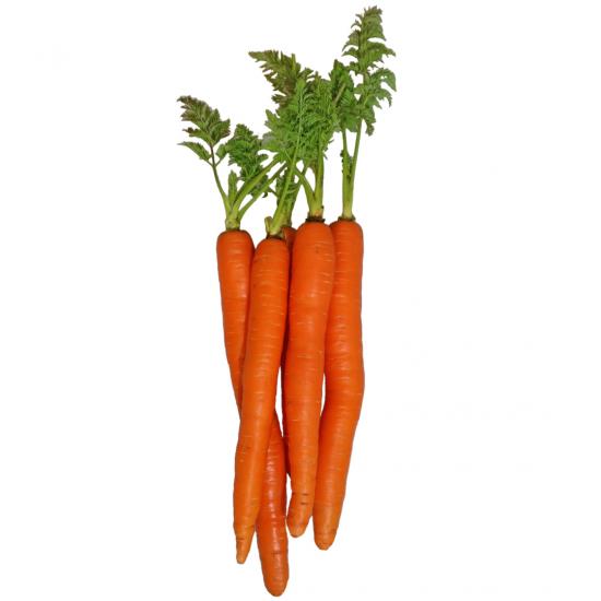 �С��˥㥫���������ʥȥ������ġˡ�