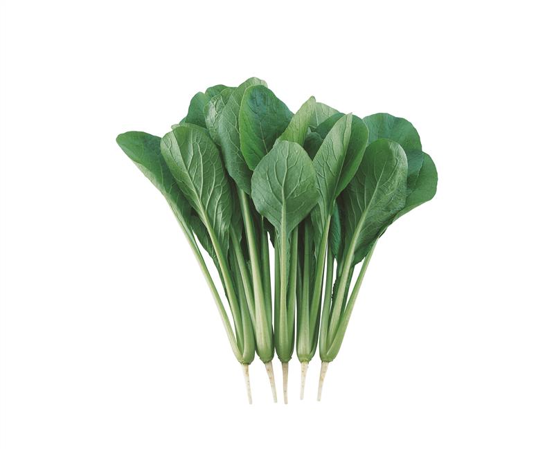 ��Τ����¢����ı��