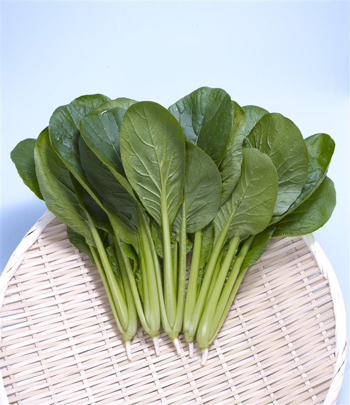 ����ʡʥȡ��ۥ��ˡ�