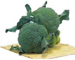 �ޤɤ��ʥ֥��꡼�ɡ�