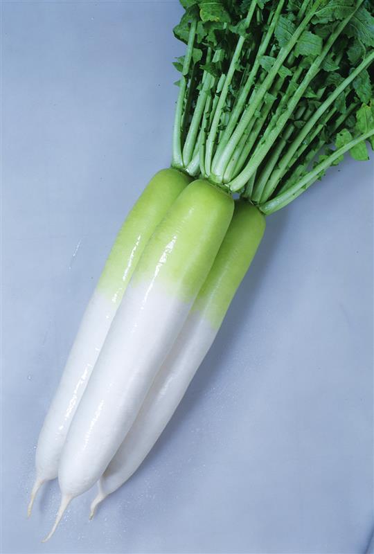 ͡ʥͥġ