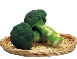 ��ε(��礯��夦)�ʥ֥��꡼�ɡ�