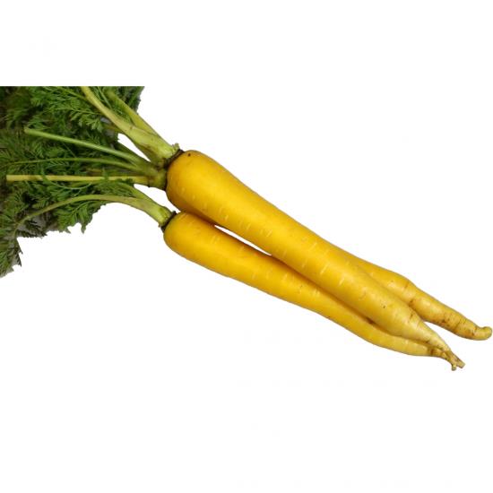 �С��˥㥫�������ʥȥ������ġˡ�