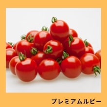 �ץ�ߥ����ӡ��ʥ��ͥ����ġ�