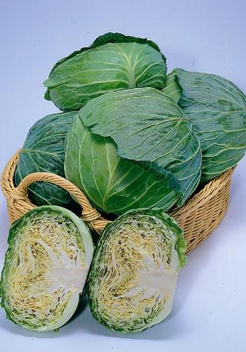 �ǻ�����ʥȡ��ۥ���