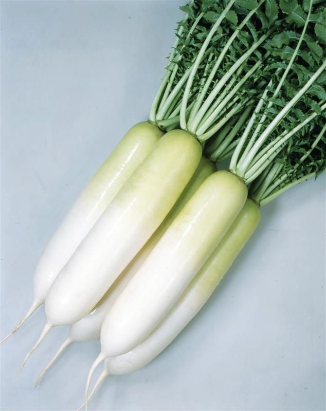 ͡ʥͥġ