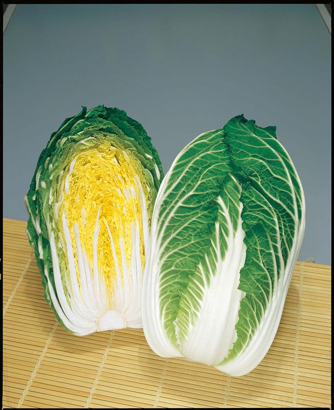 ������ʥȡ��ۥ���