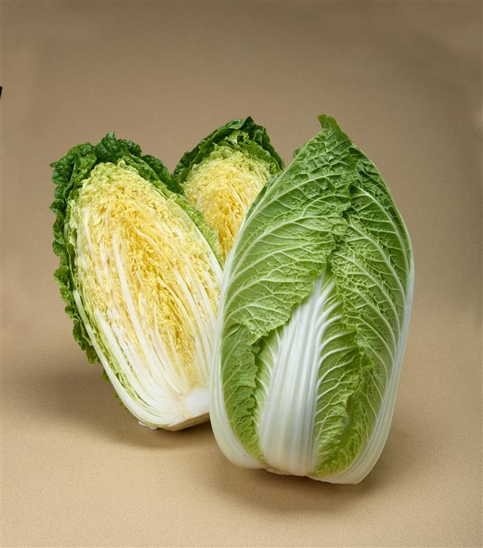 ��ʡ�����ʥȡ��ۥ��ˡ�