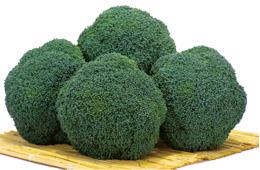 ���ꥢ�ʥ֥��꡼�ɡ�