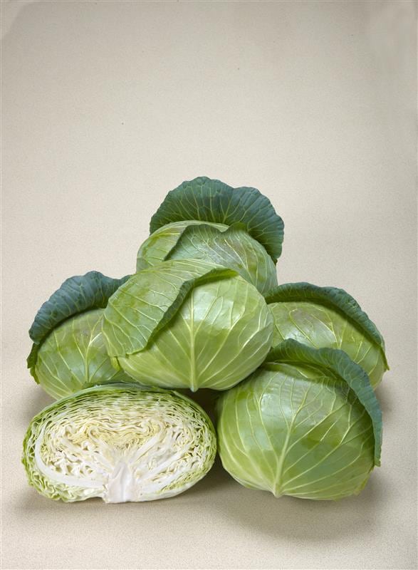 �ǻ����ʣԣȣ٣������ˡʥȡ��ۥ��ˡ�