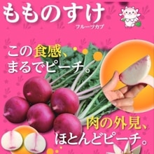 ���Τ����ʥʥ�ȼ��ġ�