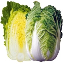 ���व�󣷣��ʥʥ�ȼ��ġˡ�