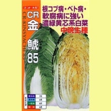 �ãҶ��ϣ����ʥʥ�ȼ��ġˡ�