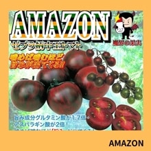���ͣ��ڣϣΡʥʥ�ȼ��ġˡ�