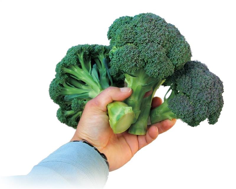 ̴�ҤӤ��ʤ�����ꥯ��ˡʥʥ�ȼ��ġ�