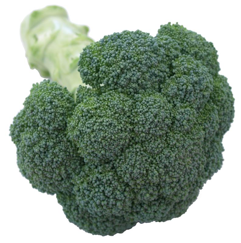 夢ひびき ブロッコリー種子 20ml セカンドーム型【野菜種子