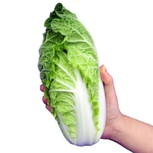 ������ʥʥ�ȼ��ġ�