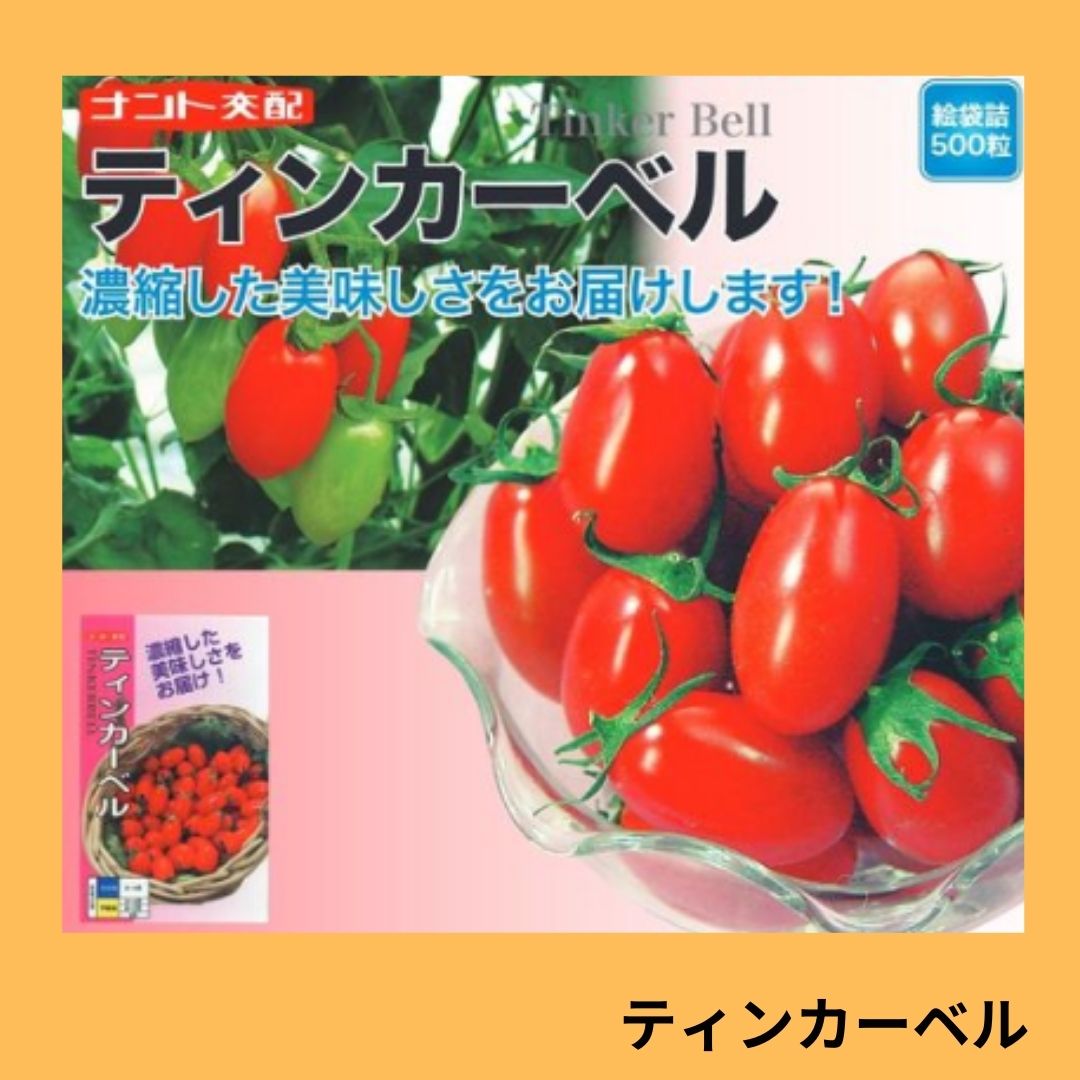 ティンカーベル（ナント種苗） | 野菜の種,果菜,ミニトマト