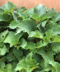 �ʸ� �����Ĥ��� ���ʾ��ʼ��ġˡ�