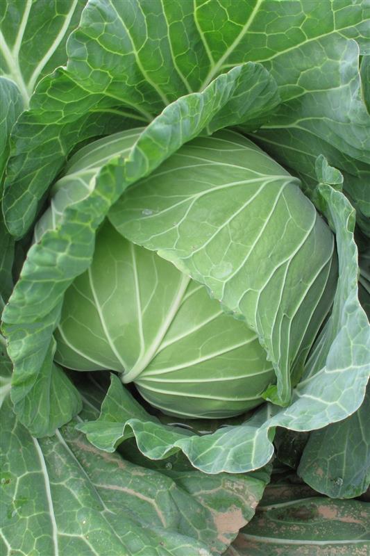 �٣Ҥ���ȡʣáݣ����ˡ��������Ӽҡ�