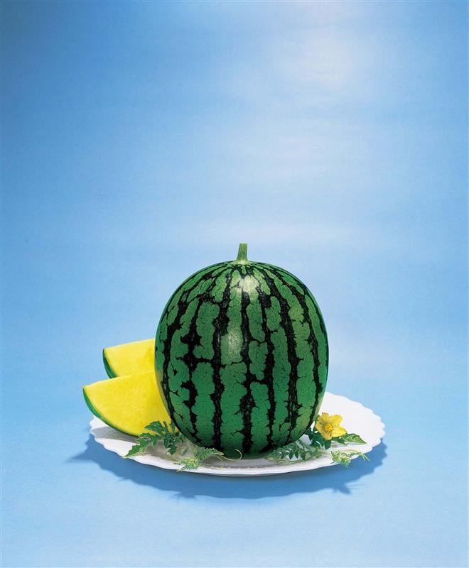 �����Ȥꣲ��ʥȡ��ۥ���
