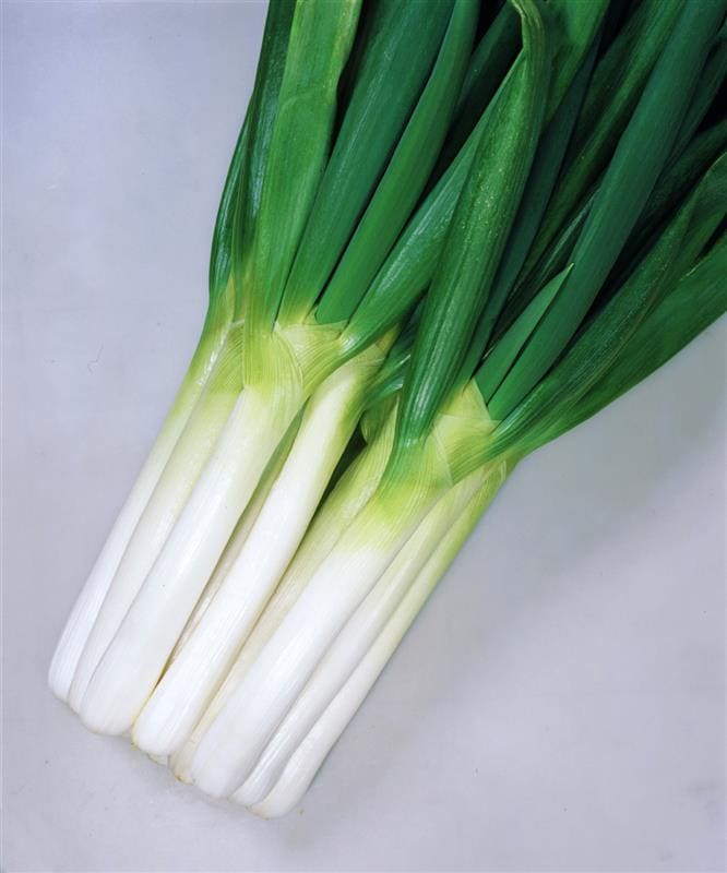 SUKIYAKIʥͥġ