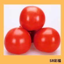 �ӣҺ�ʡ�ʥ��ͥ����ġˡ�