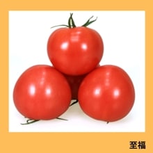 ��ʡ�ʥ��ͥ����ġ�