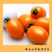 �����ɥ�饤�ȡʥ��ͥ����ġˡ�