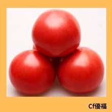 �ã�ͥʡ�ȥޥȡʥ��ͥ����ġ�