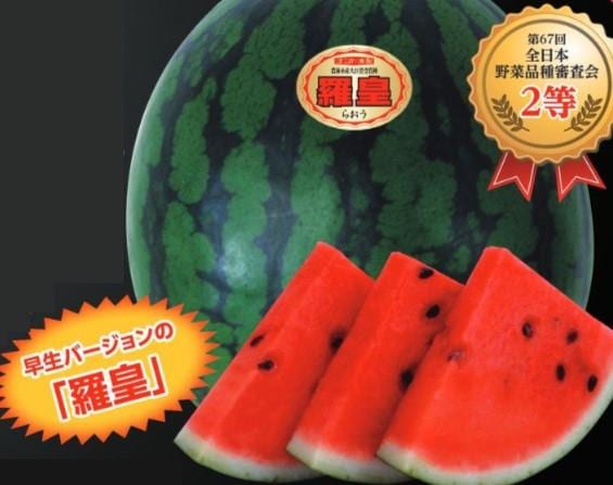 羅王 ゼクス/SR/ゼクス B07-090[SR]：八大龍王 娑伽羅 - メルカリ