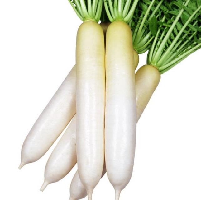 ߤҤӤʴݼˡ