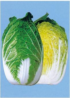 �ɽա����μ���