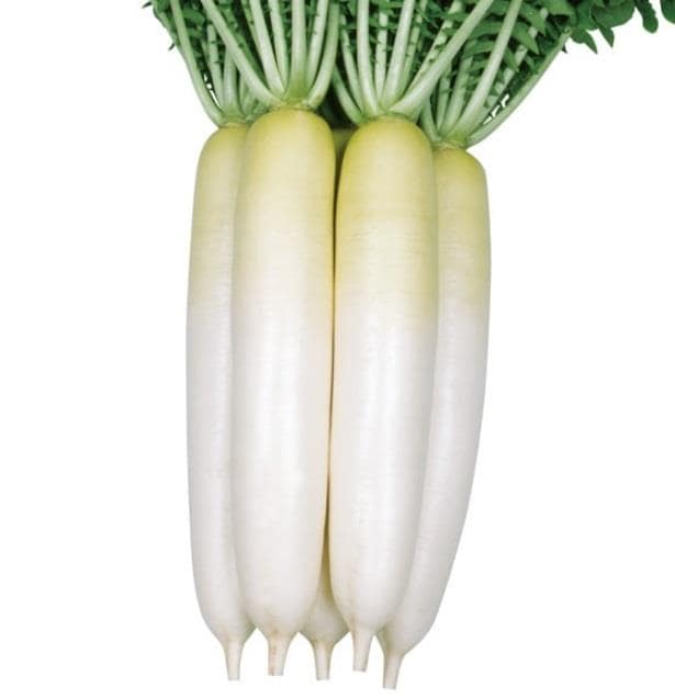 ߤζˤߡʴݼˡ