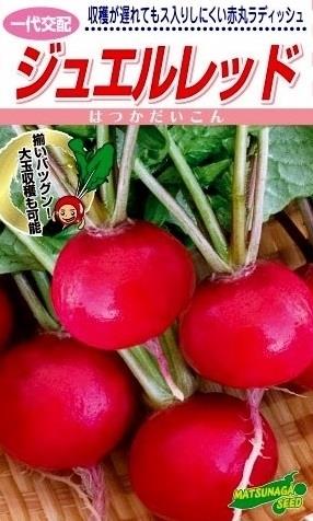 ���奨���åɡʾ��ʼ��ġ�