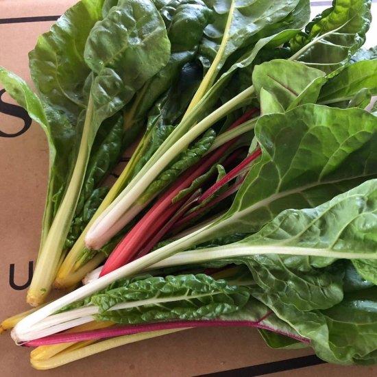 �ӥ��ȥ顦�ȥꥳ������ʥȥ������ġˡ�