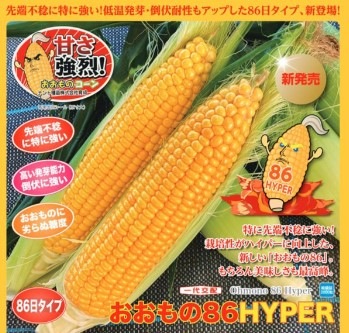 おおもの86hyper（ナント種苗）＊ | 野菜の種,豆・トウモロコシ