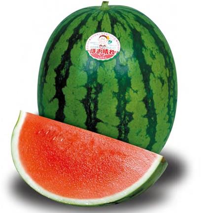 爽やかなスイカのマルガリータ レシピ