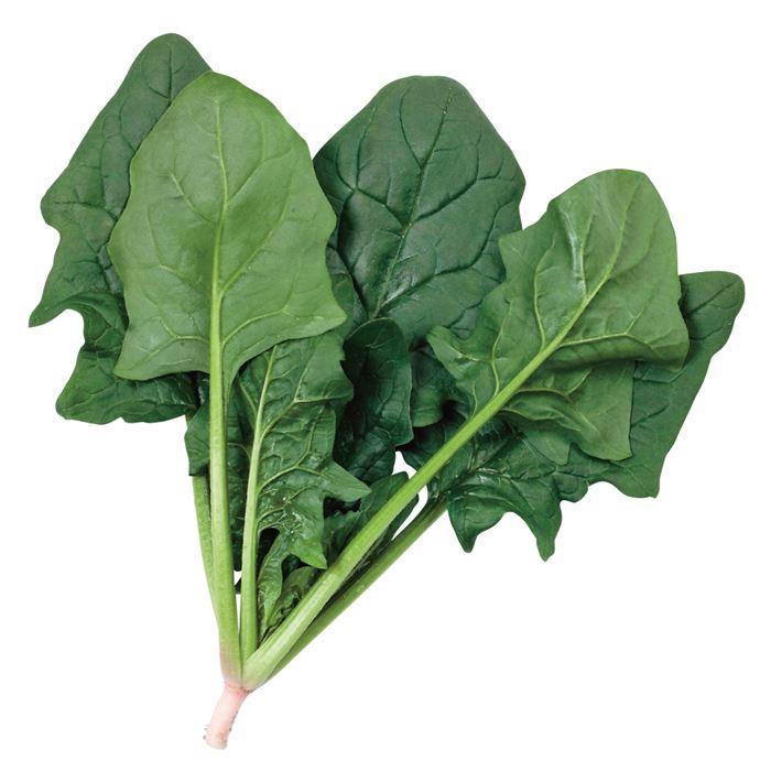 ���㥹�ƥ����ʥ������Υ��͡�