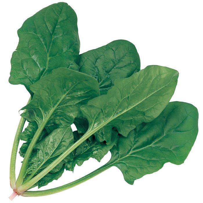 �ȥ�å�7�ʥ������Υ��͡�