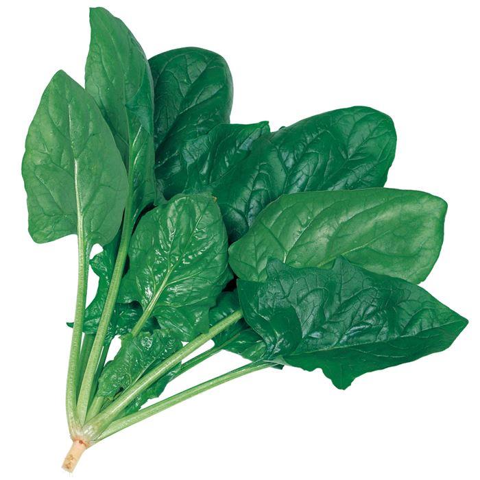 �ȥ�ȥ�ʥ������Υ��͡�