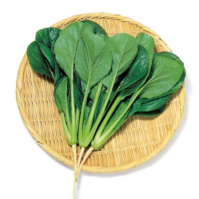 ���褹�ߡʥ������Υ��͡�