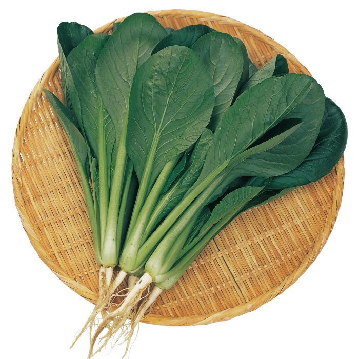 �ϤޤĤŤ��ʥ������Υ��͡�