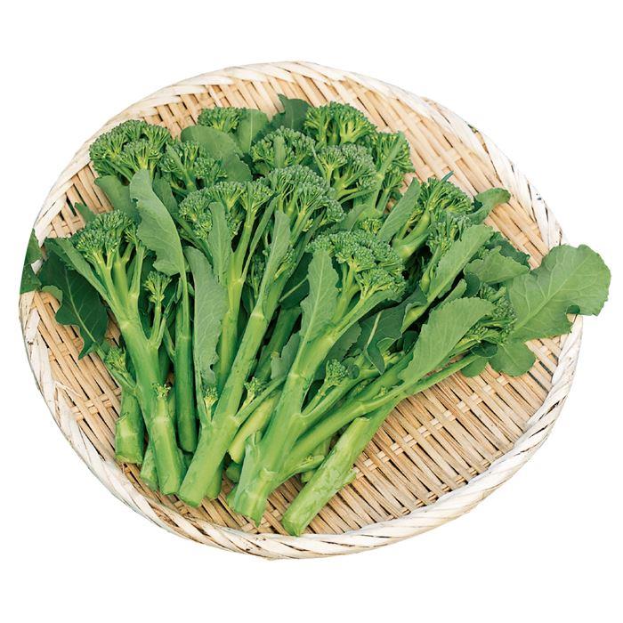 �ԥ֥��å��꡼ ���ƥ��å����˥硼��ʥ������Υ��͡�