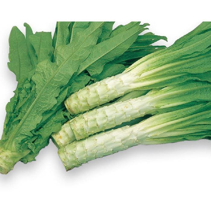 �ԥ쥿�� �����ʻ����餲�ˡʥ������Υ��͡�