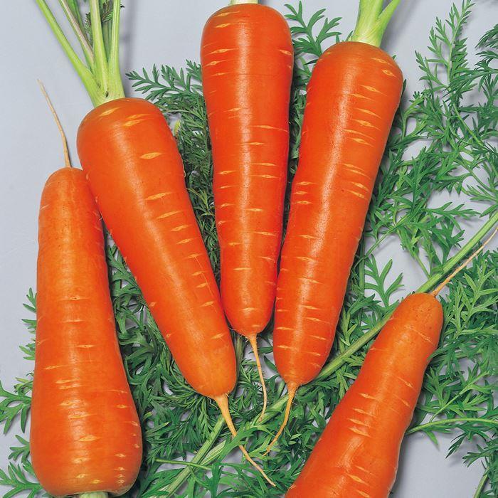 �Ȥ�����ʥ������Υ��͡�