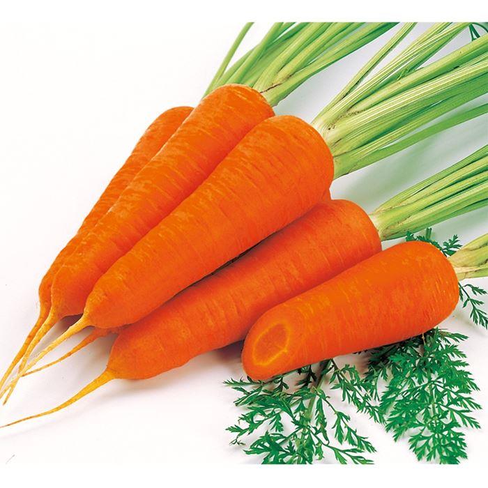 �ռ���������ʥ������Υ��͡ˡ�