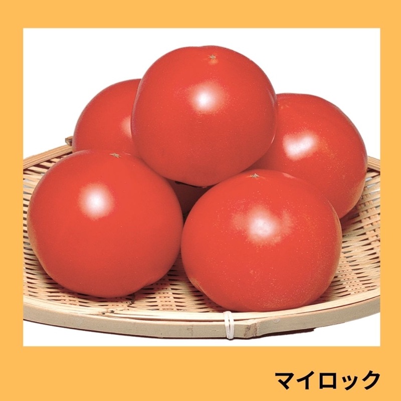 みにとまと 9000枚 ミニトマトパック MF-100 (4H) 99mm×100mm×65mm ミニ