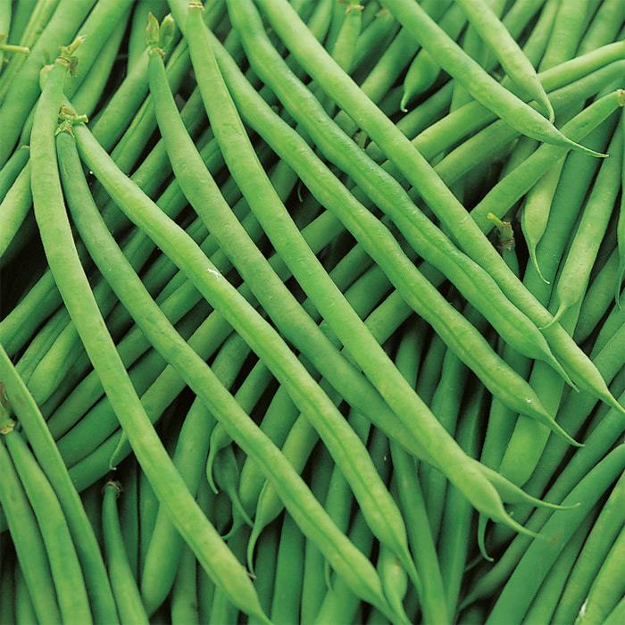 �����������ҡʥ������Υ��͡�