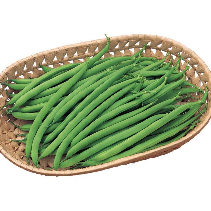 �����������ҥͥ��ʥ������Υ��͡�